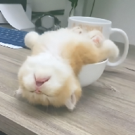 9·1安装免费版